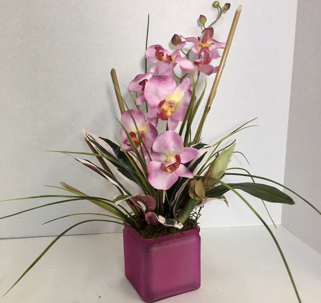 Blushing Pink Orchids